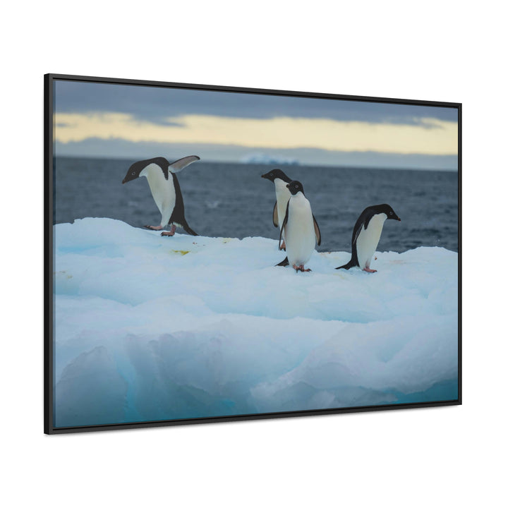 Penguin Dance - Canvas with Frame