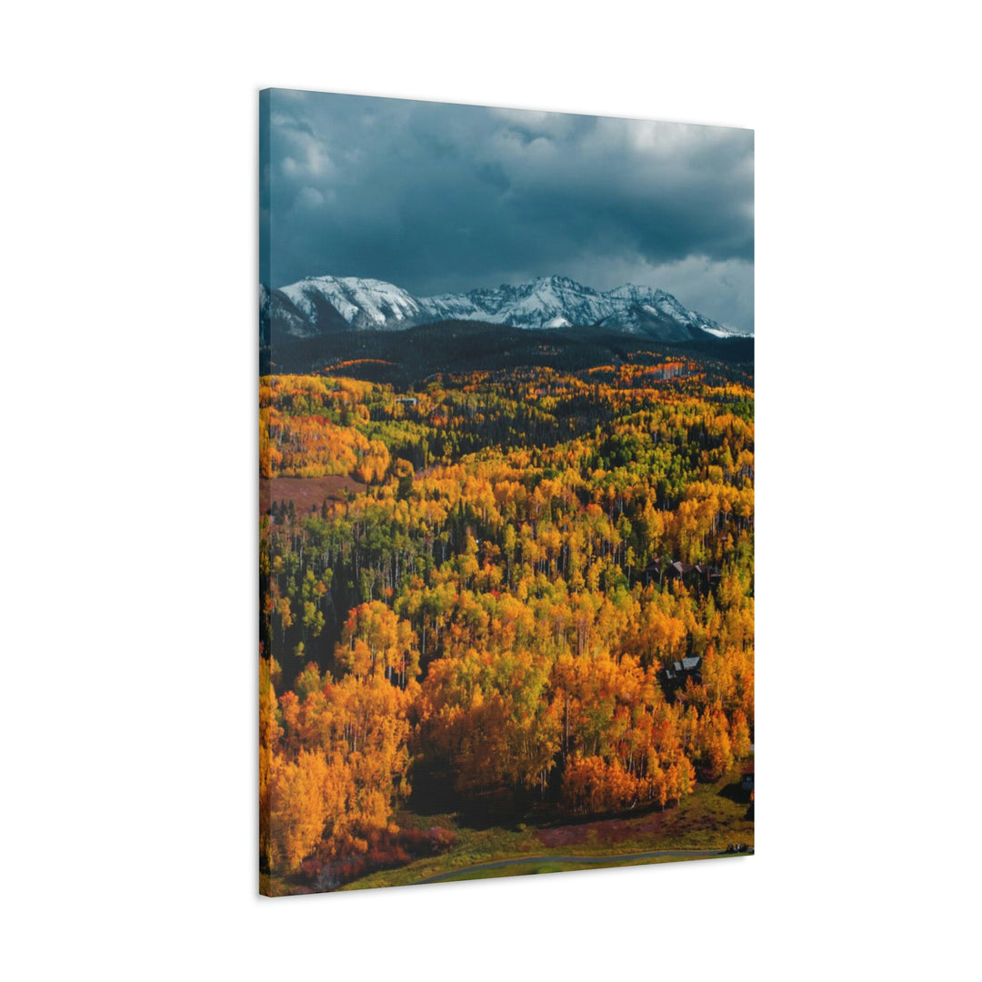 Golds of Autumn - Canvas