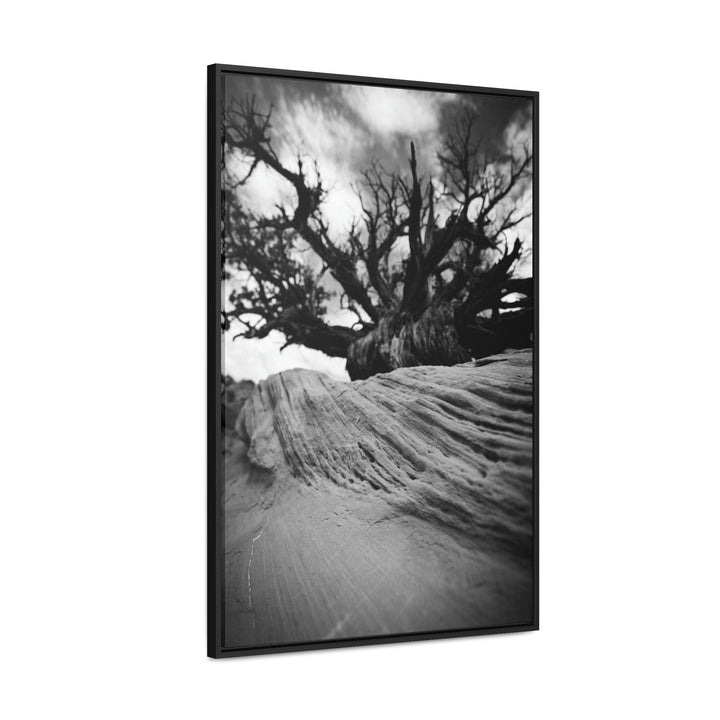 Desert Reach in Black and White - Canvas with Frame