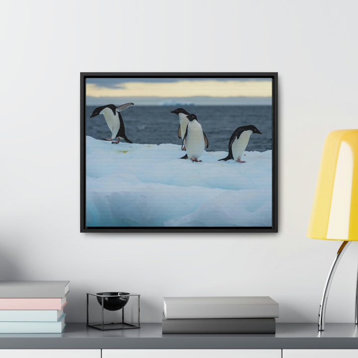 Penguin Dance - Canvas with Frame