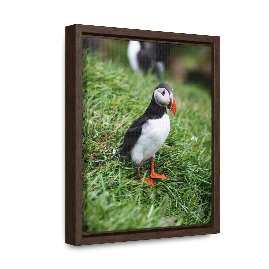 Curious Eye - Canvas with Frame