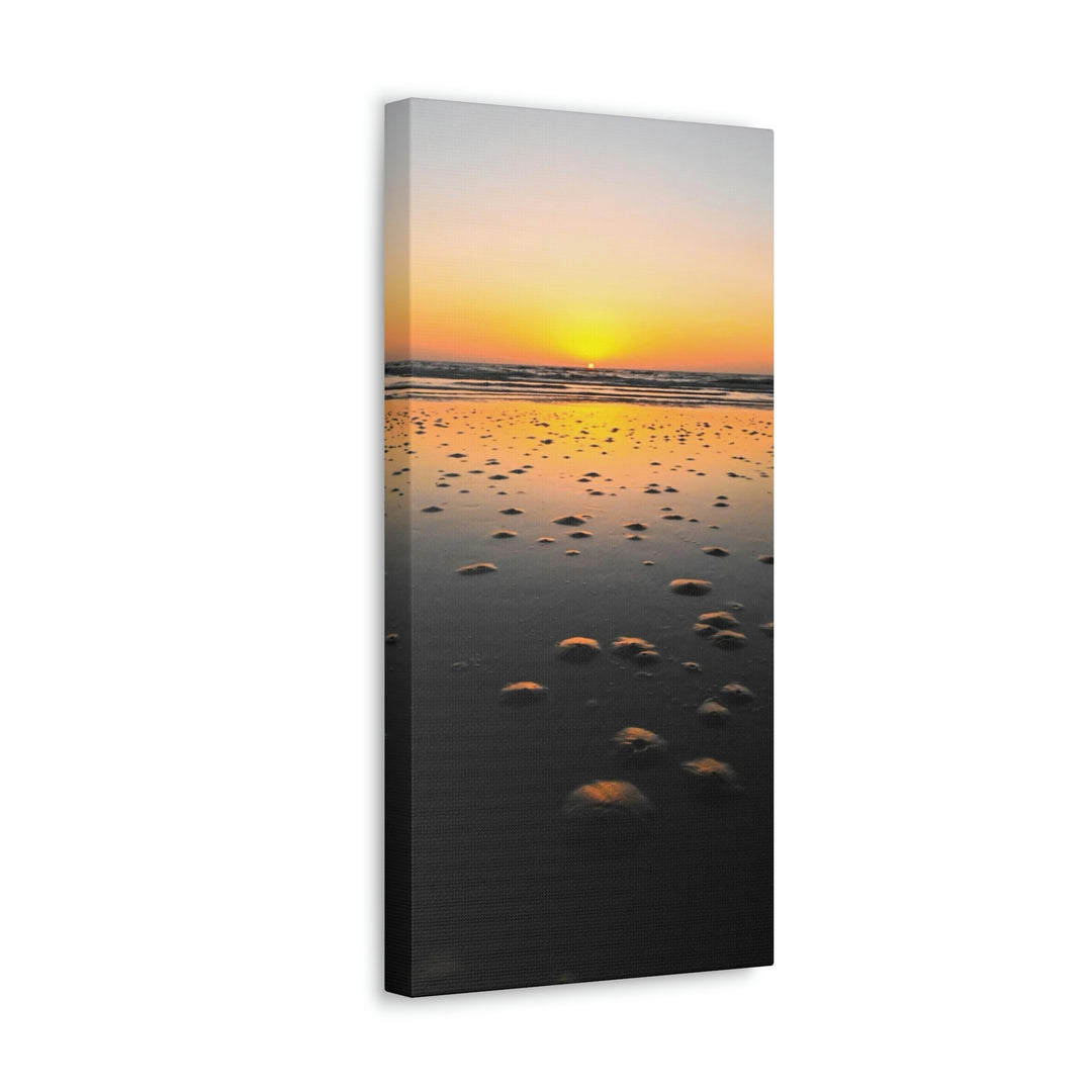 Burrows at Sunrise - Canvas