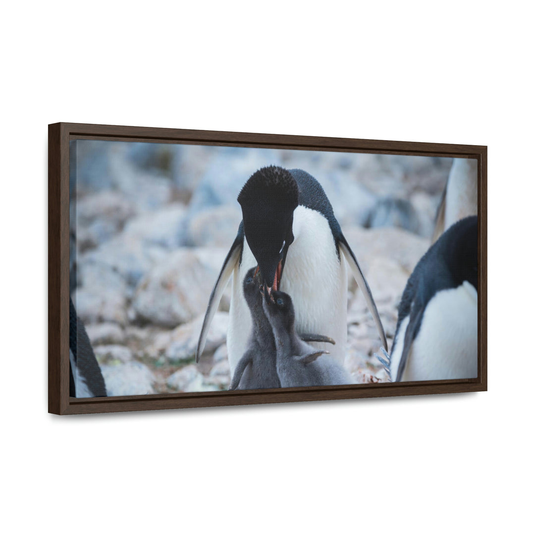 Feeding Time - Canvas with Frame