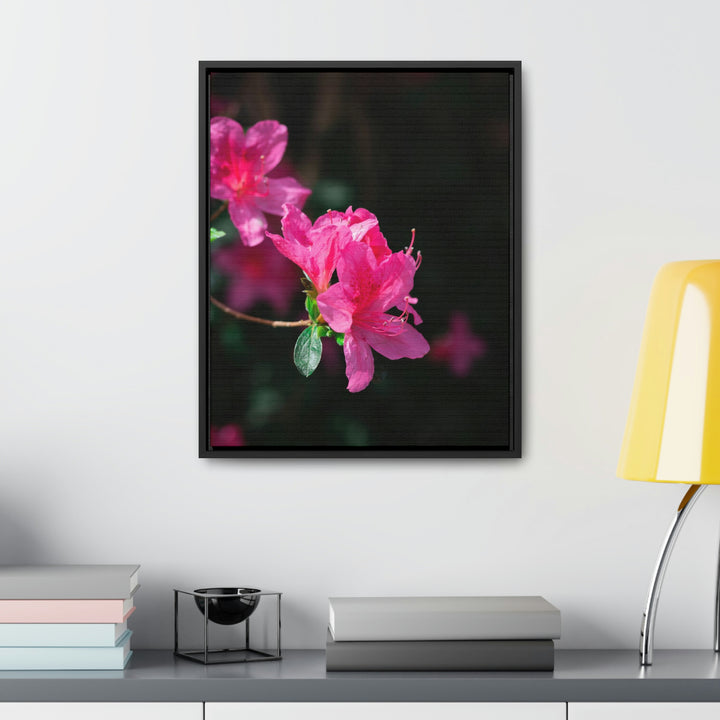 Standout Azalea - Canvas with Frame - Visiting This World