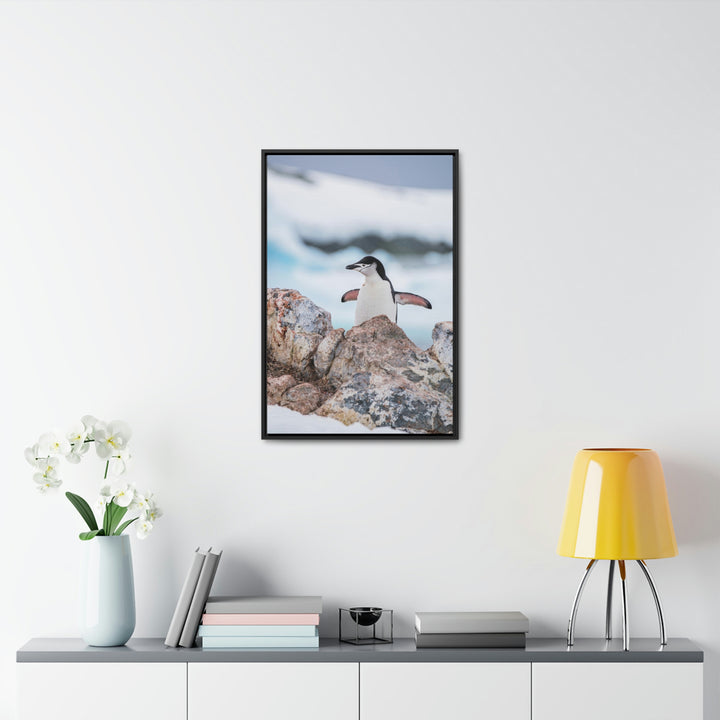 Stretched Penguin - Canvas with Frame