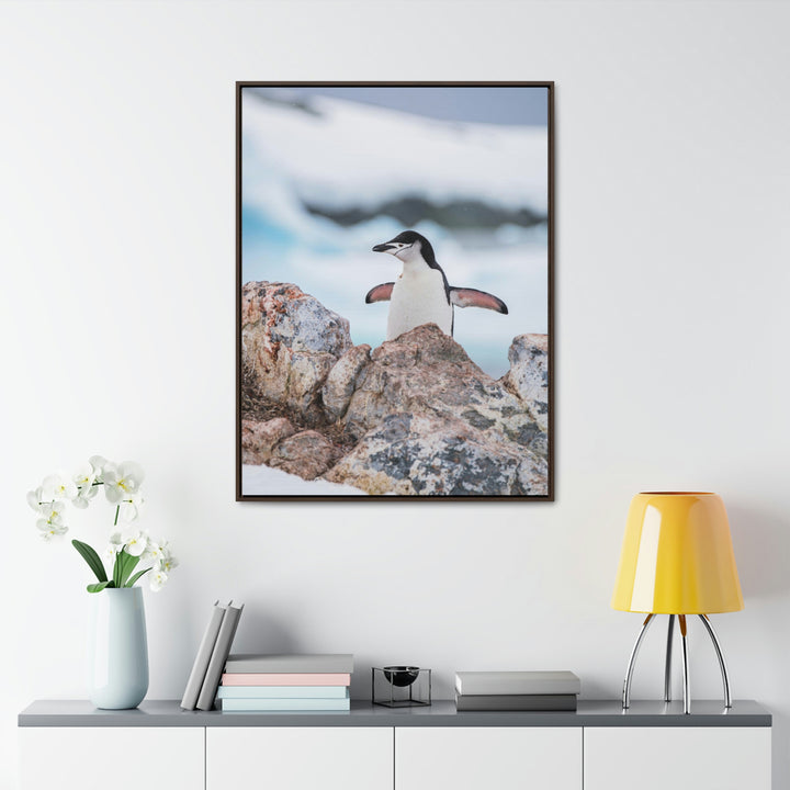 Stretched Penguin - Canvas with Frame