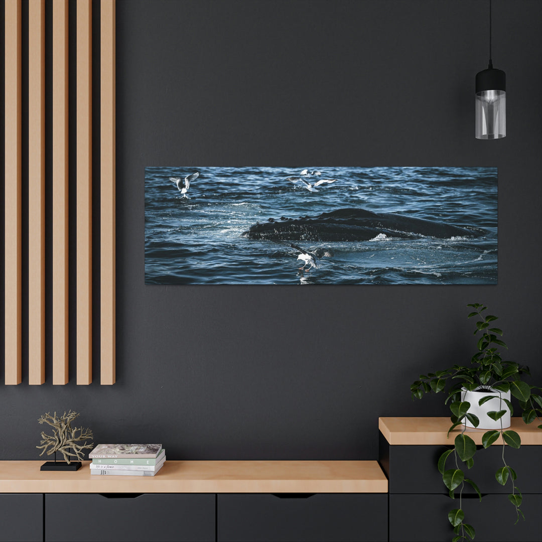 Humpback Hello - Canvas