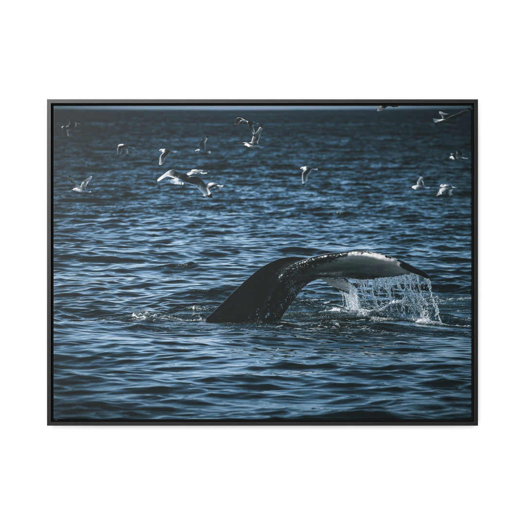 Feeding Tail - Canvas with Frame