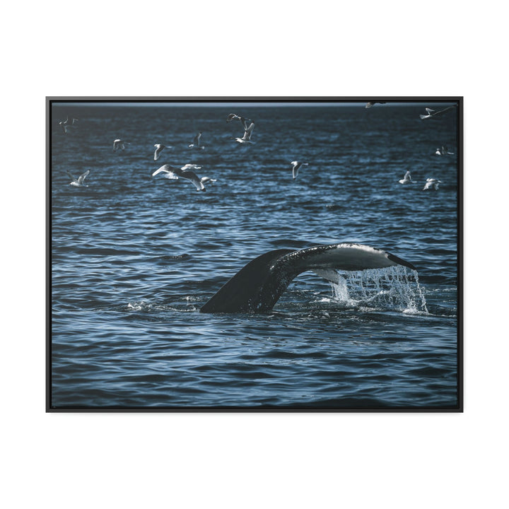 Feeding Tail - Canvas with Frame