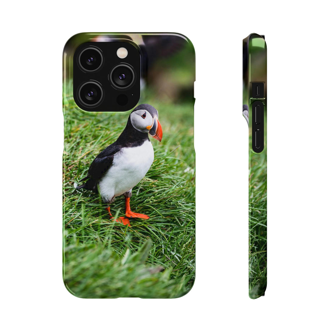 Curious Eye - Phone Case