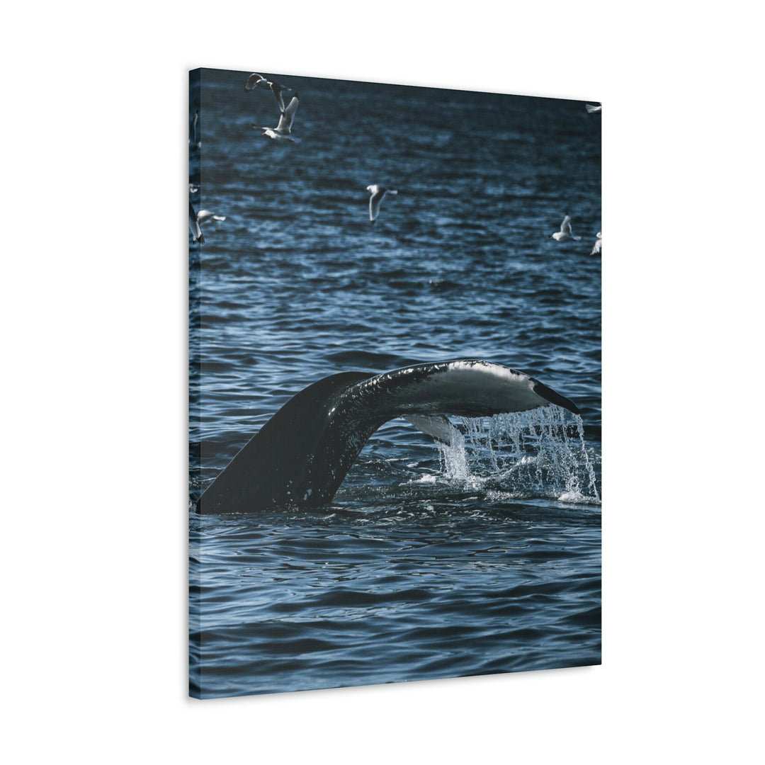 Feeding Tail - Canvas