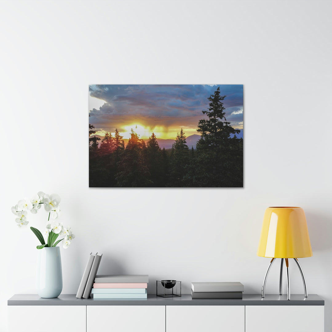 Rainy Sunset Through the Trees - Canvas