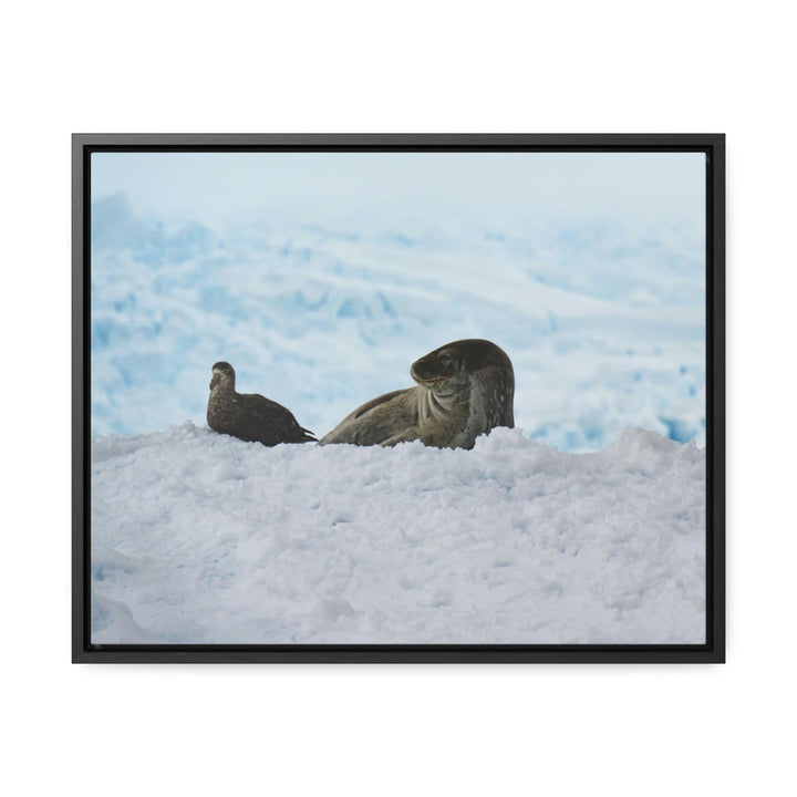 A Resting Pair - Canvas with Frame