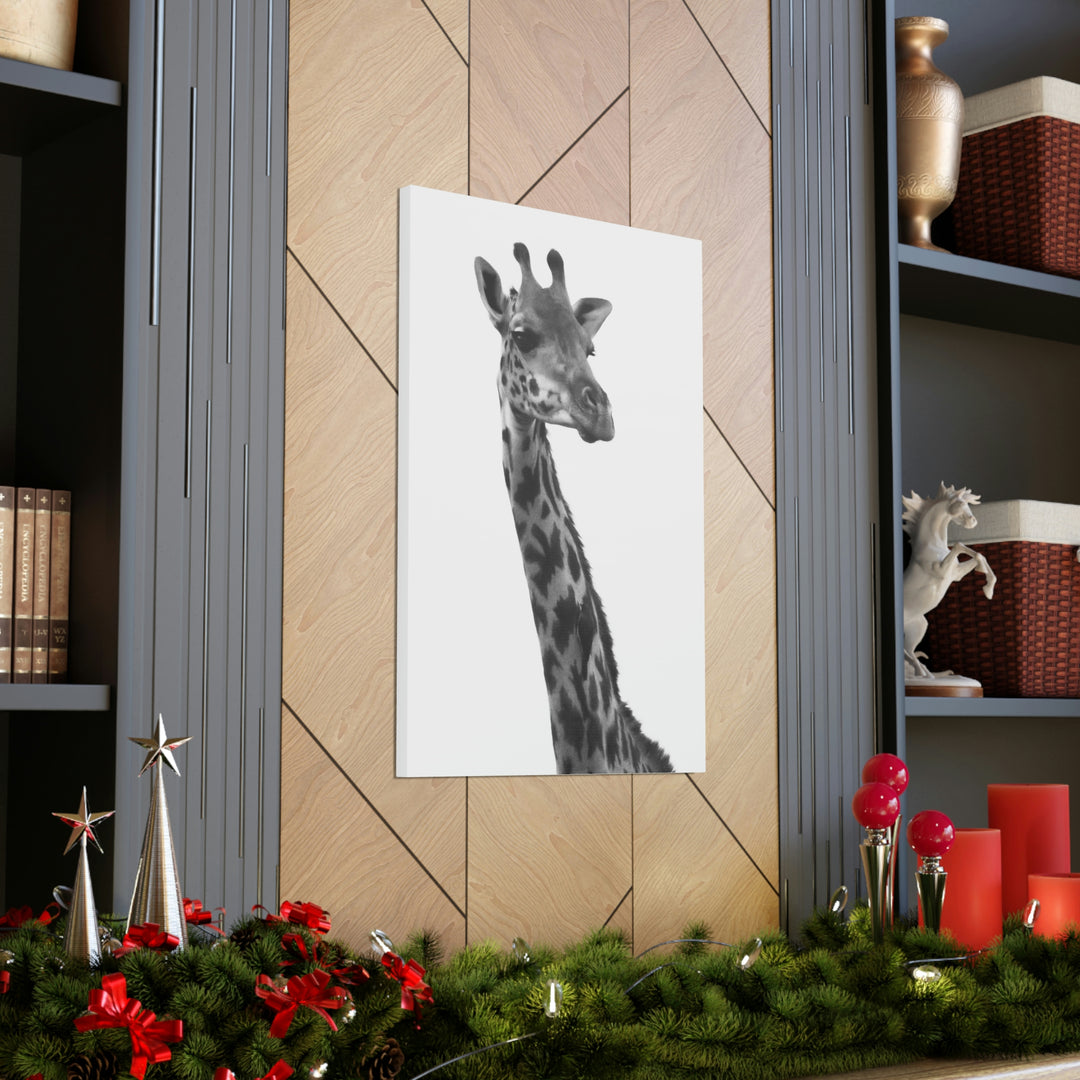 Giraffe Portrait in Black and White  - Canvas