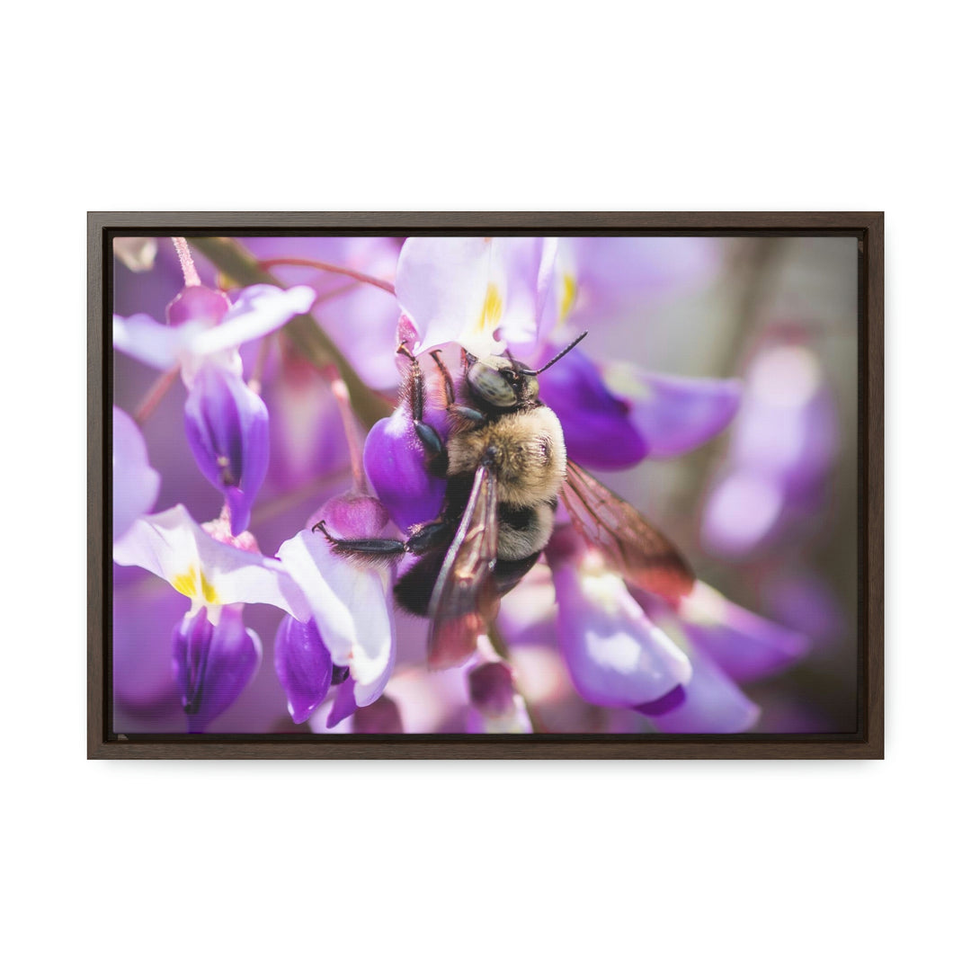 Hungry Visitor - Canvas with Frame