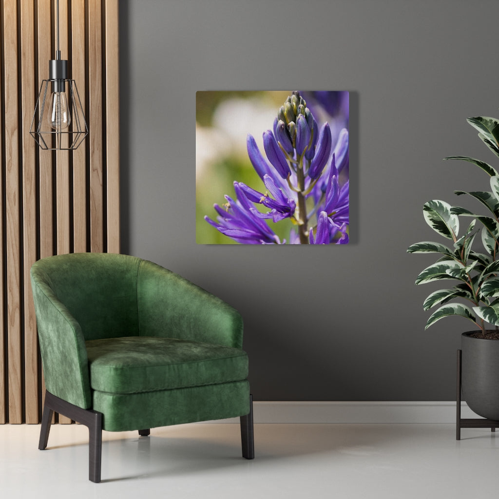 Camas in Bloom - Canvas