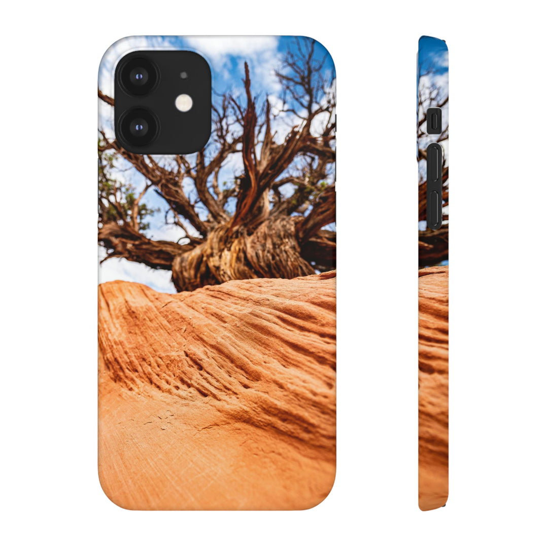 Desert Reach - Phone Case