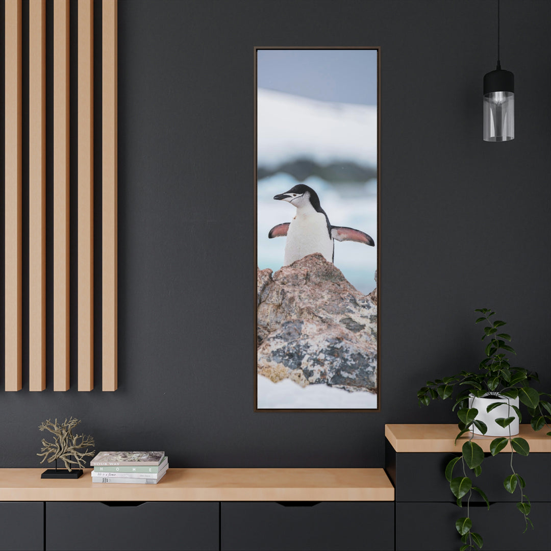 Stretched Penguin - Canvas with Frame