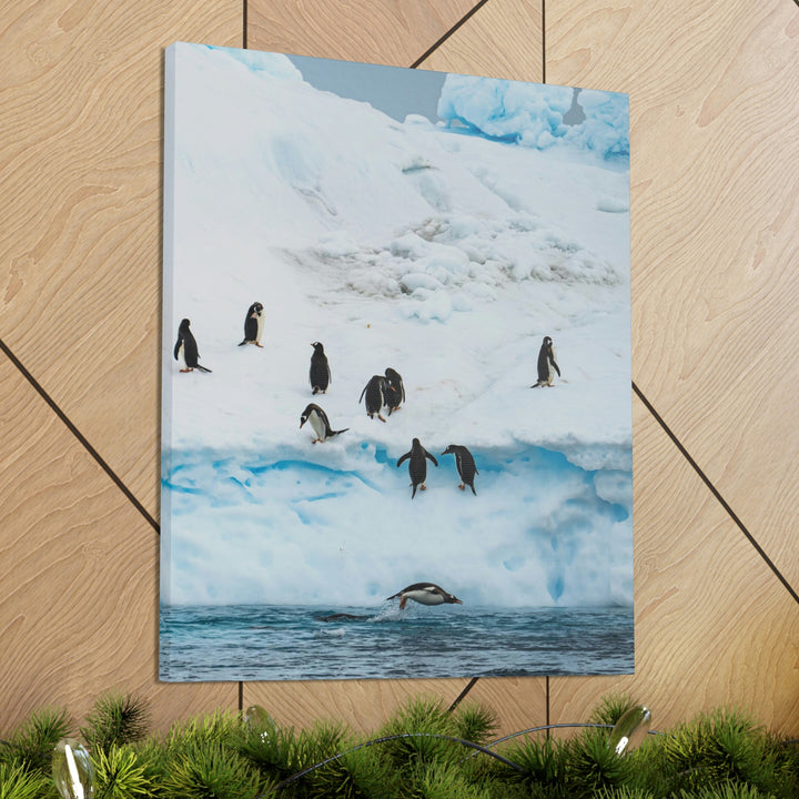 Porpoising Penguin - Canvas