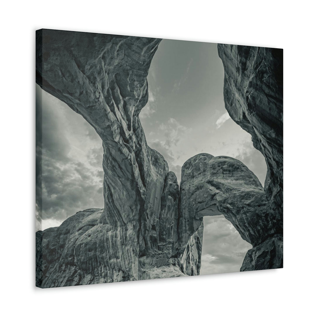 Natural Frames Part 1 in Black and White - Canvas