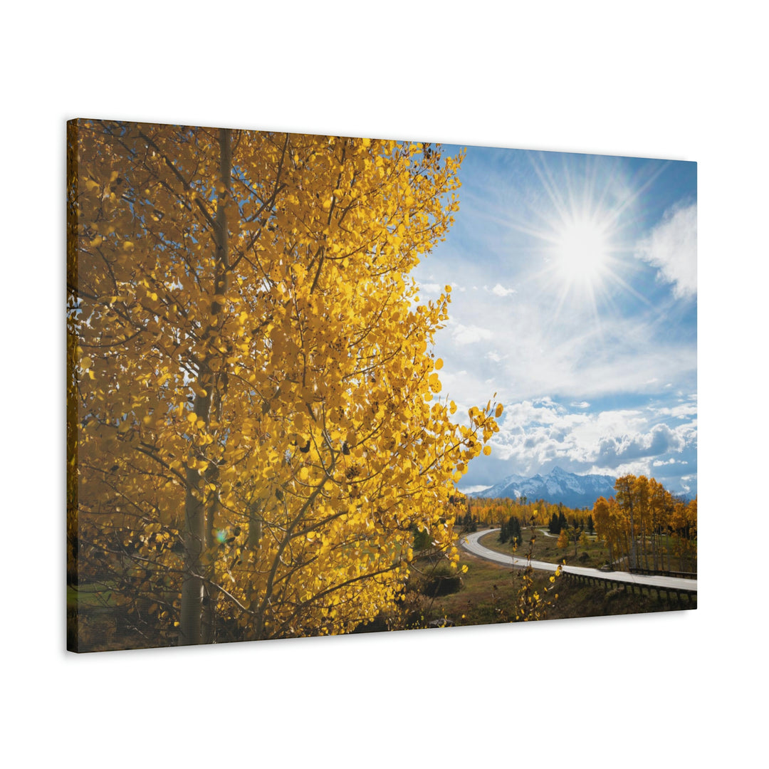 Golden Sunshine - Canvas