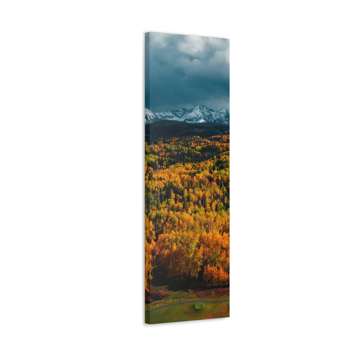 Golds of Autumn - Canvas