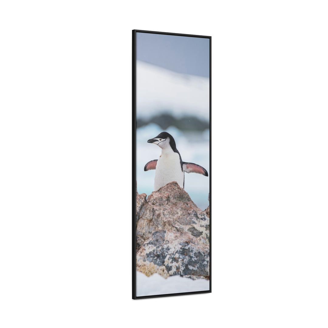 Stretched Penguin - Canvas with Frame