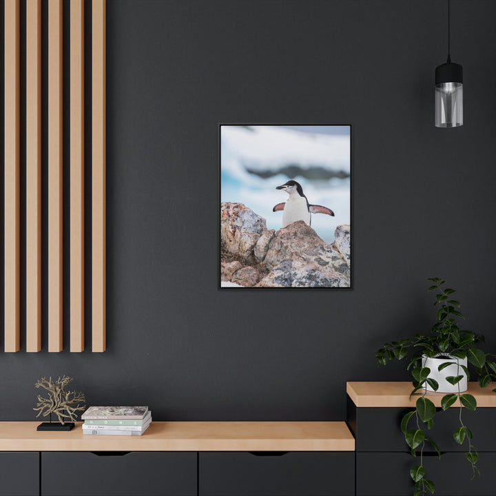 Stretched Penguin - Canvas with Frame