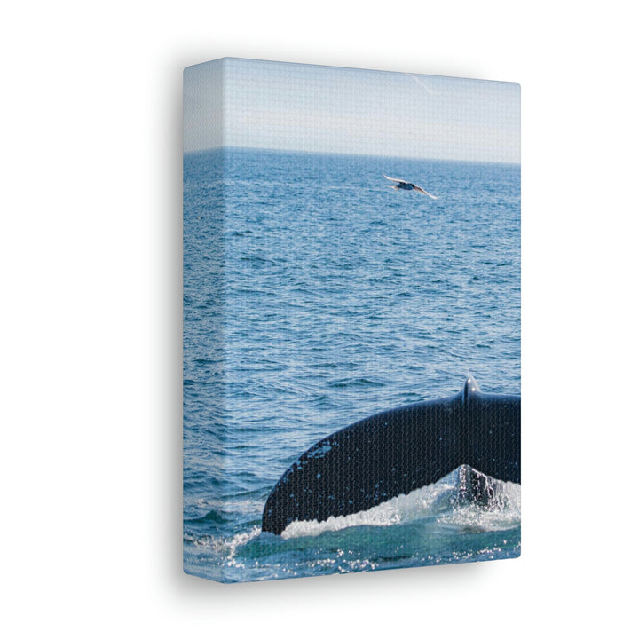 A Whale and A Mountain - Canvas