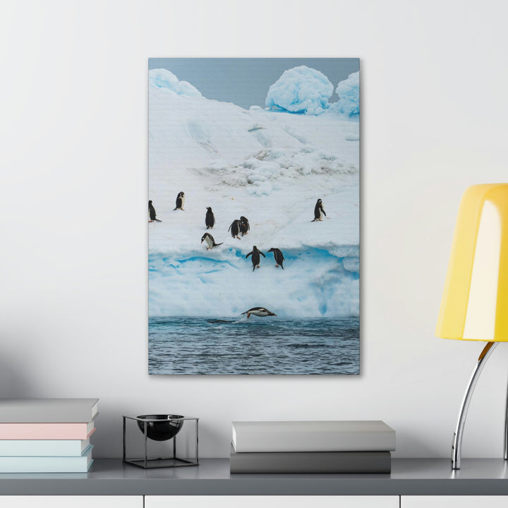 Porpoising Penguin - Canvas