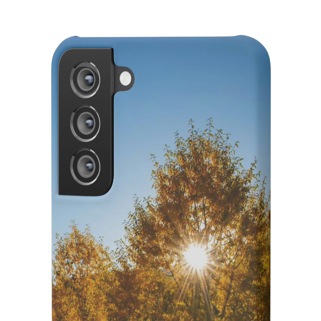 Sun Through the Aspens - Phone Case