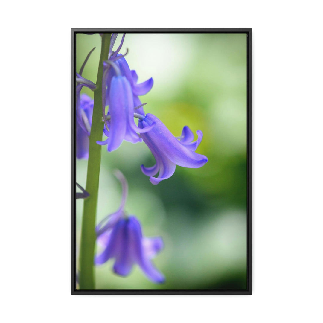 Delicate Bell - Canvas with Frame - Visiting This World