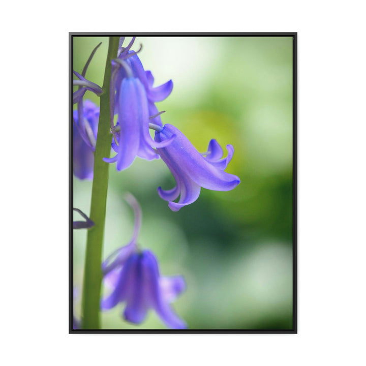 Delicate Bell - Canvas with Frame - Visiting This World