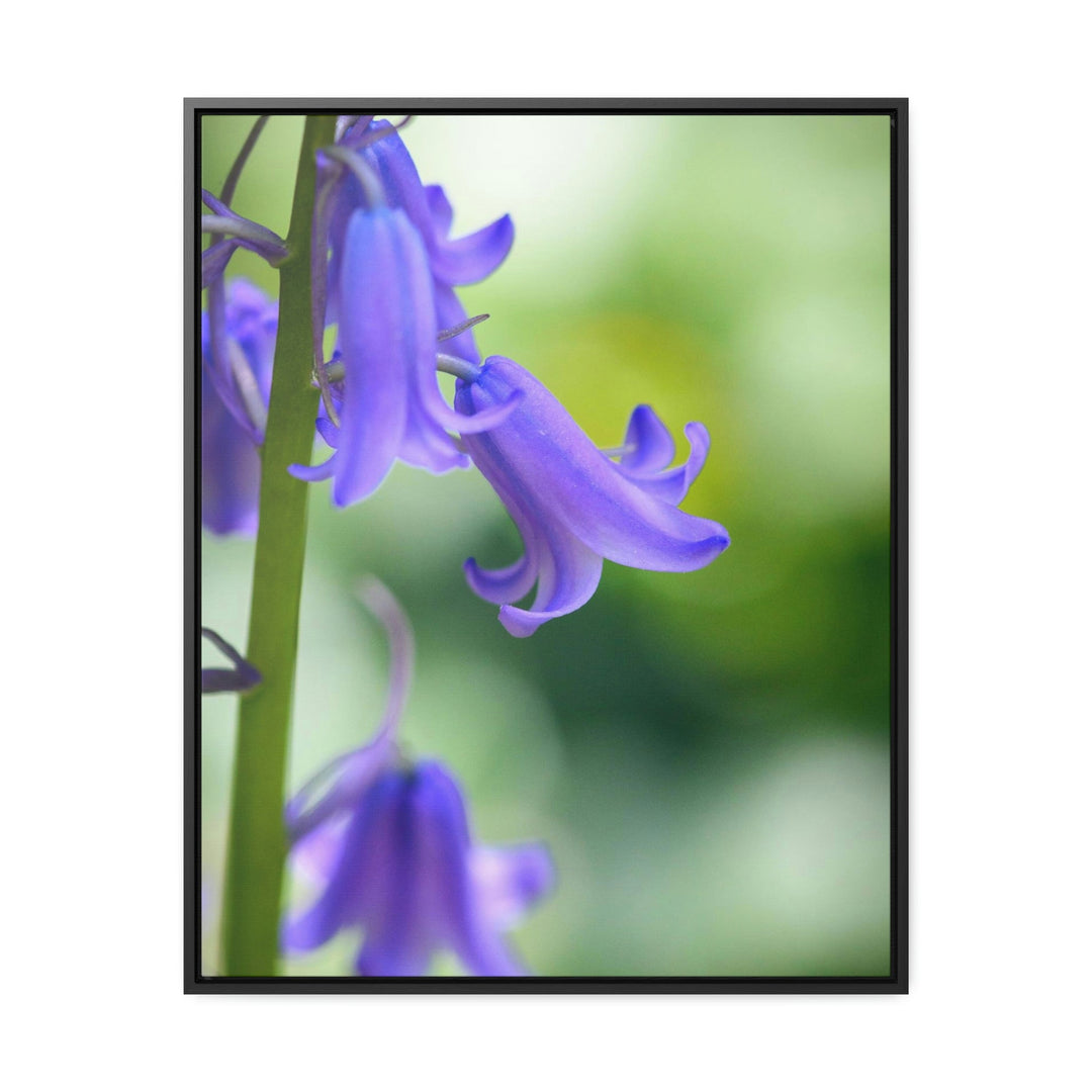 Delicate Bell - Canvas with Frame - Visiting This World