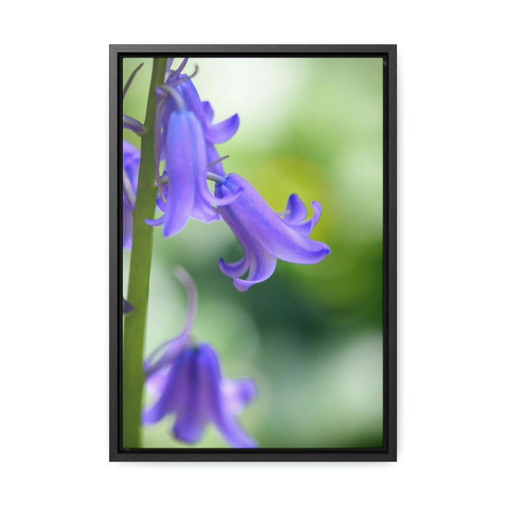 Delicate Bell - Canvas with Frame - Visiting This World