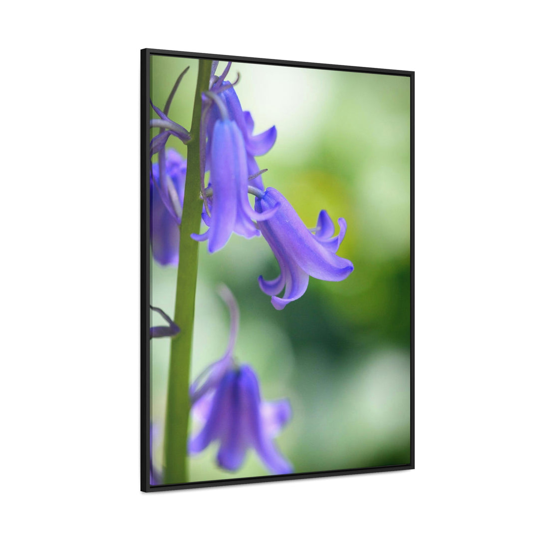 Delicate Bell - Canvas with Frame - Visiting This World