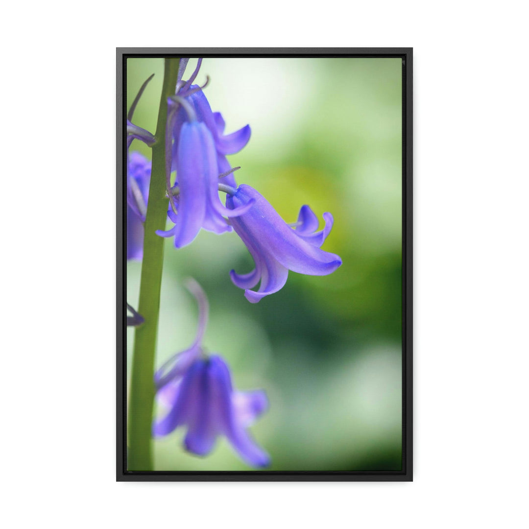 Delicate Bell - Canvas with Frame - Visiting This World