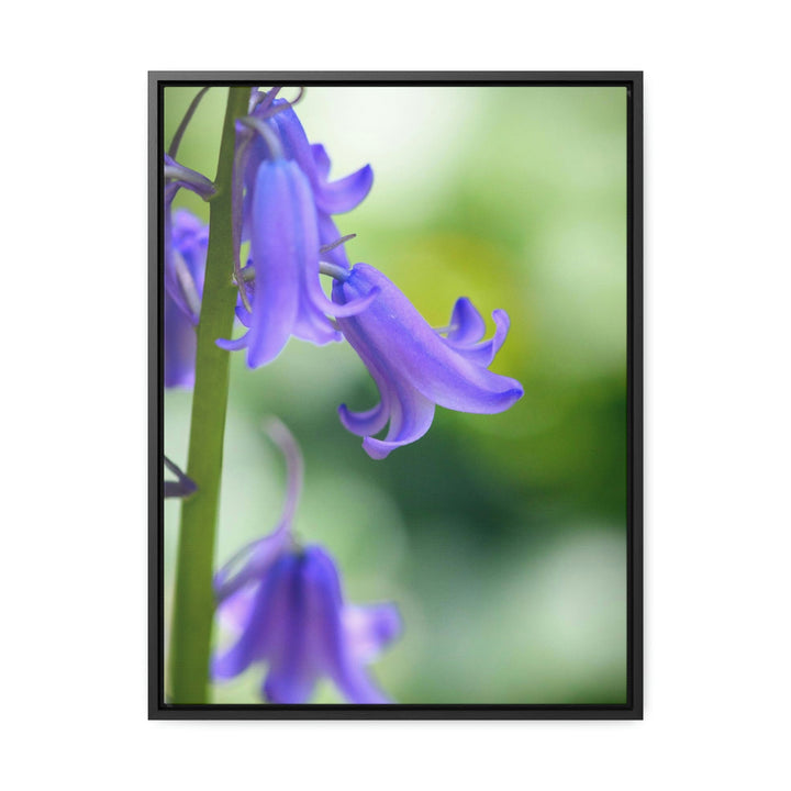 Delicate Bell - Canvas with Frame - Visiting This World