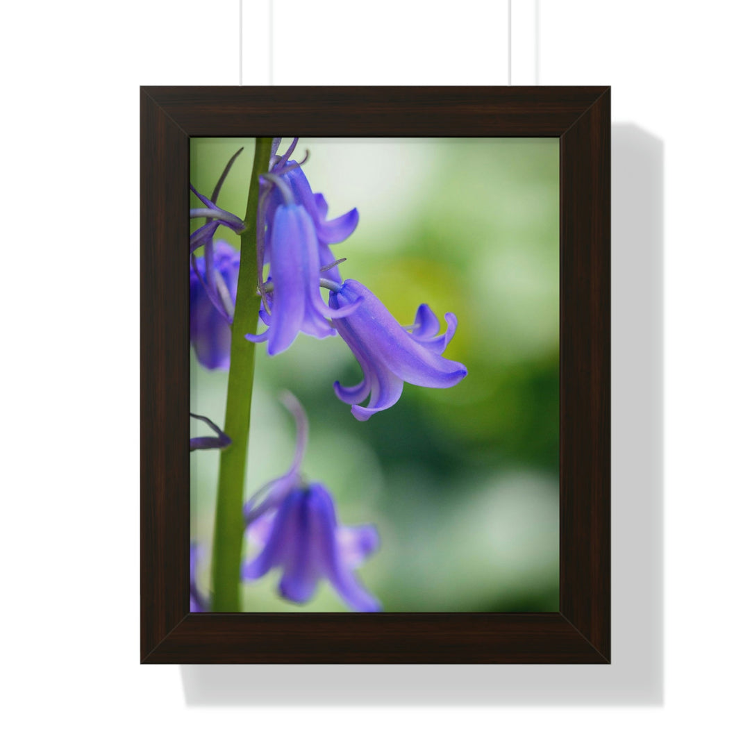 Delicate Bell - Framed Print - Visiting This World