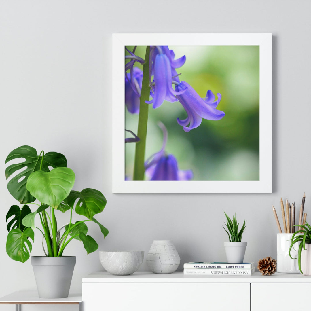 Delicate Bell - Framed Print - Visiting This World