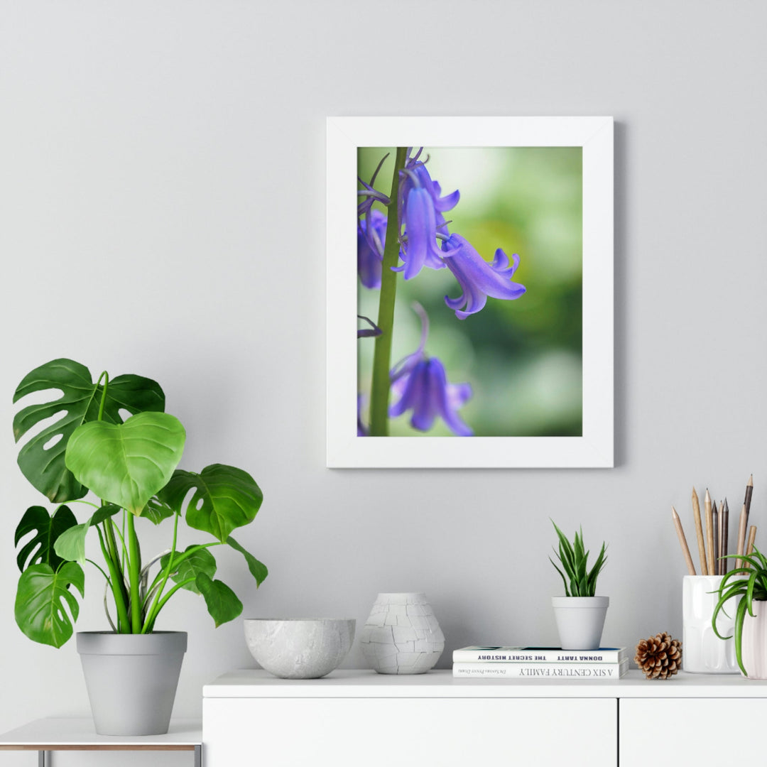 Delicate Bell - Framed Print - Visiting This World