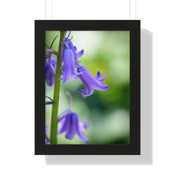 Delicate Bell - Framed Print - Visiting This World