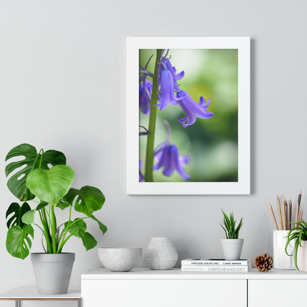 Delicate Bell - Framed Print - Visiting This World