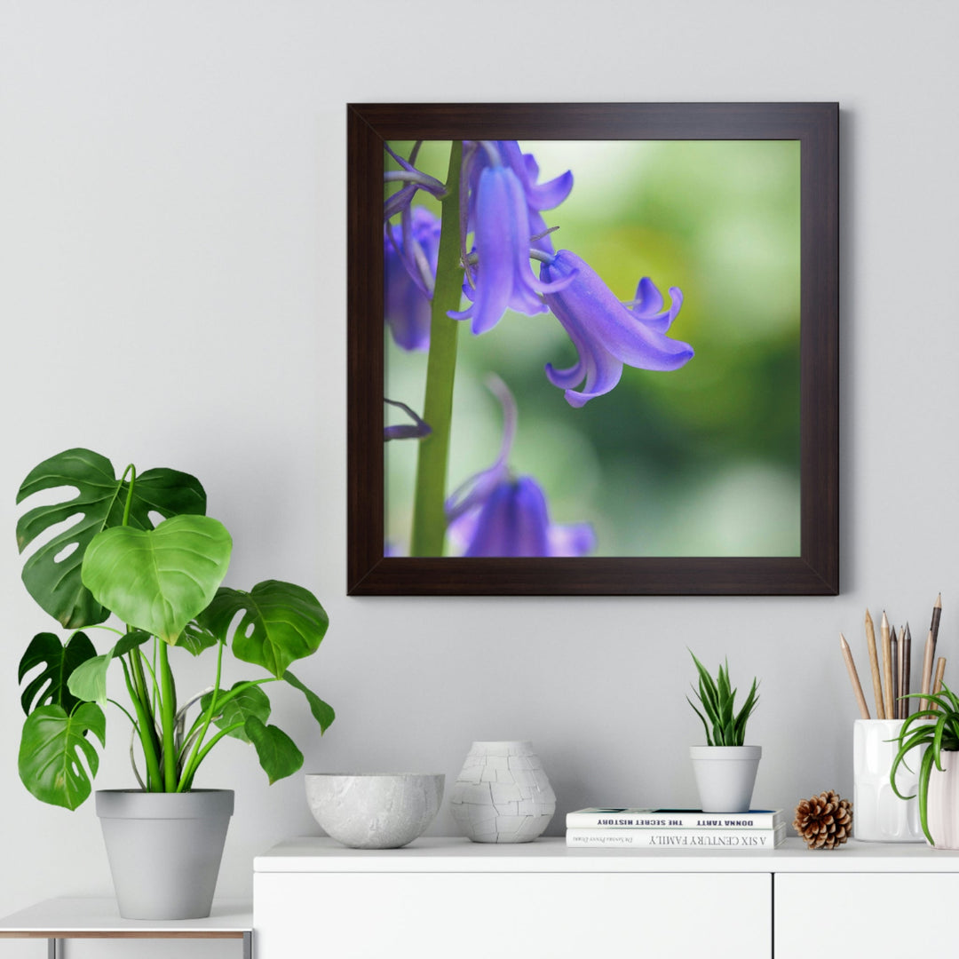 Delicate Bell - Framed Print - Visiting This World