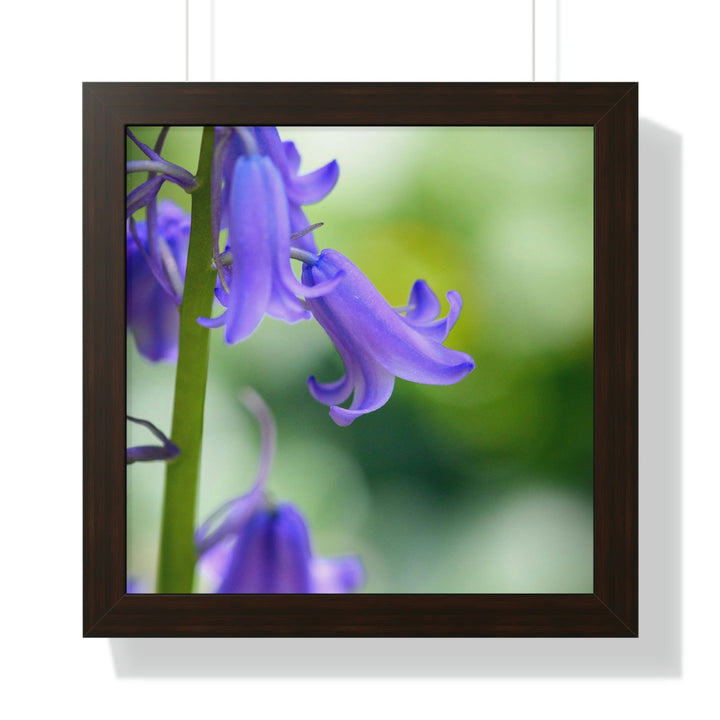 Delicate Bell - Framed Print - Visiting This World