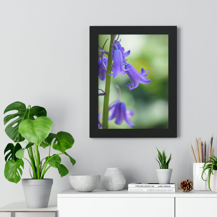 Delicate Bell - Framed Print - Visiting This World