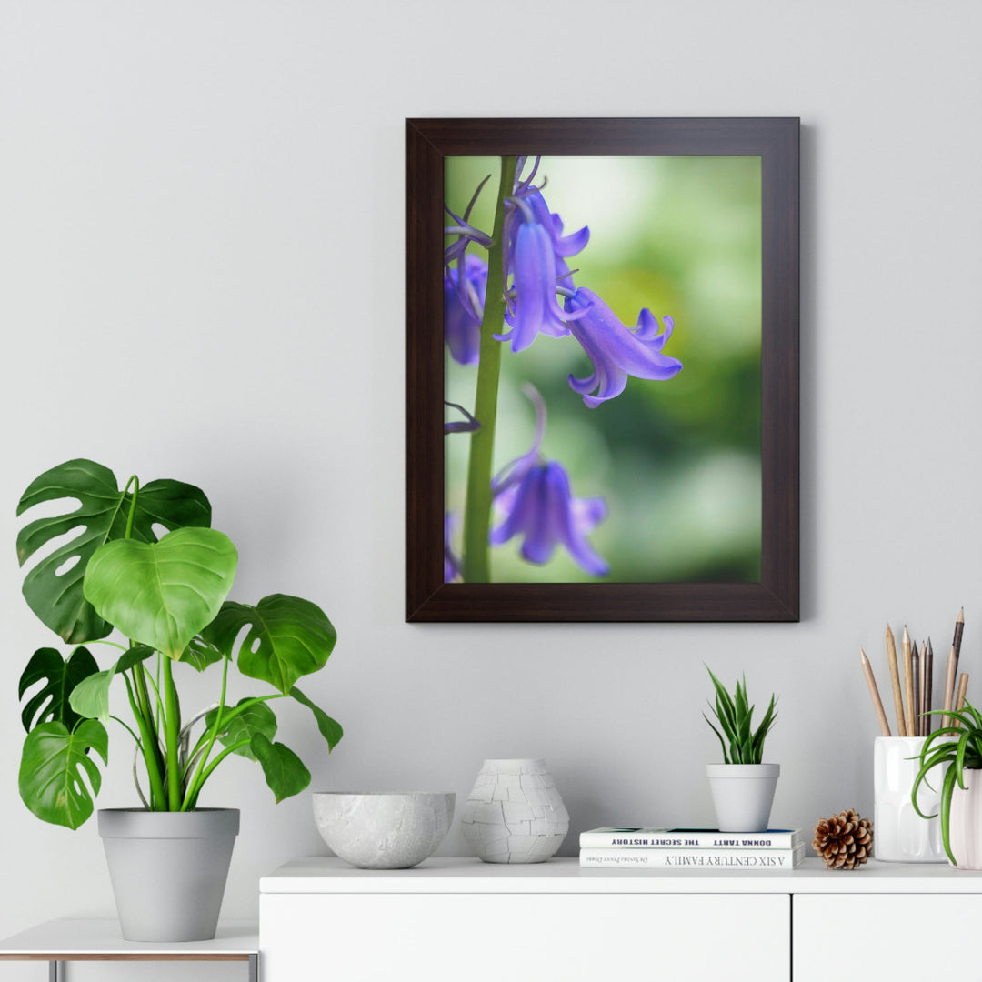 Delicate Bell - Framed Print - Visiting This World