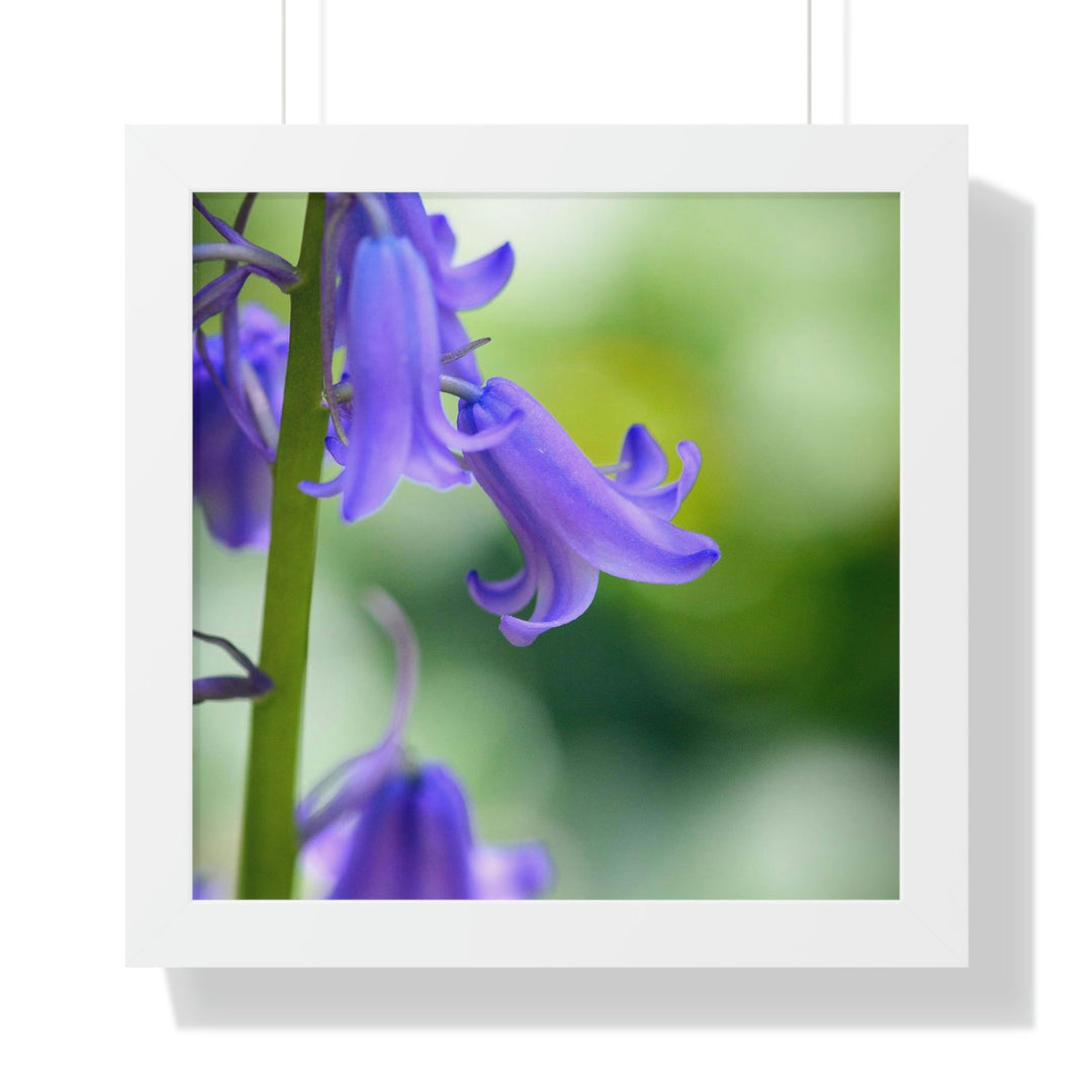 Delicate Bell - Framed Print - Visiting This World