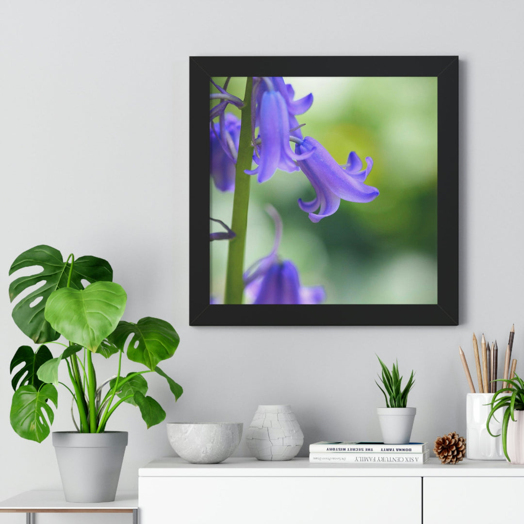 Delicate Bell - Framed Print - Visiting This World