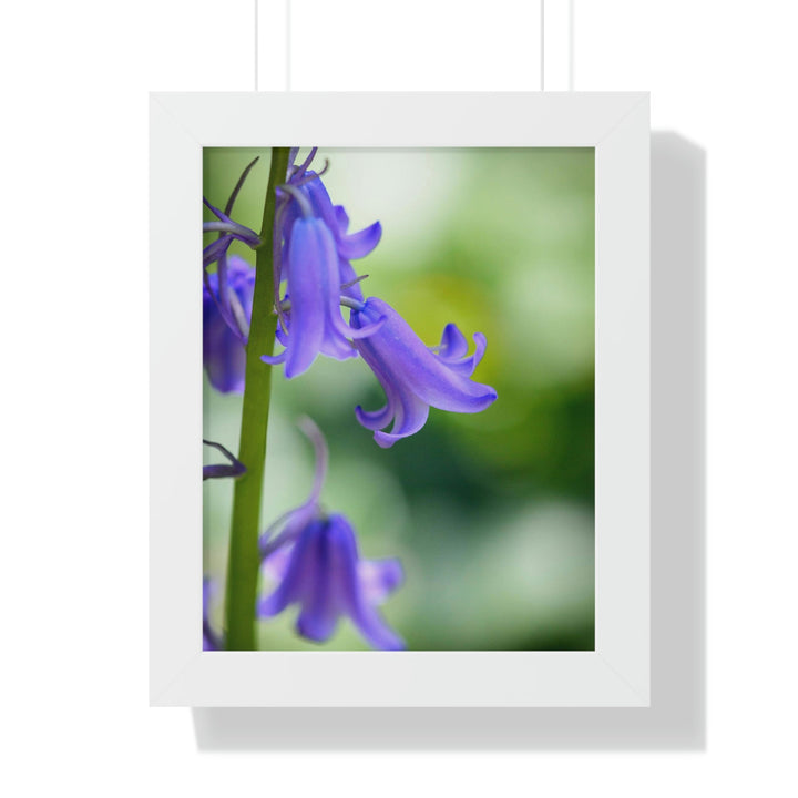 Delicate Bell - Framed Print - Visiting This World